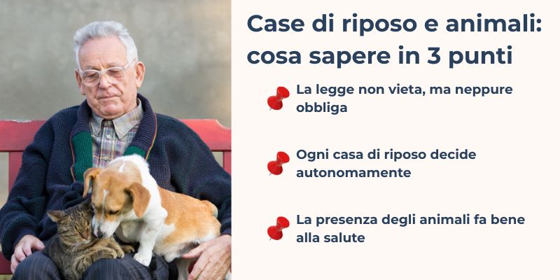 Case di riposo e animali case di riposo e animali